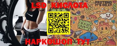 сатива Славгород
