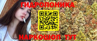 сатива Славгород