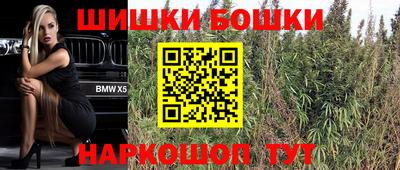 сатива Славгород