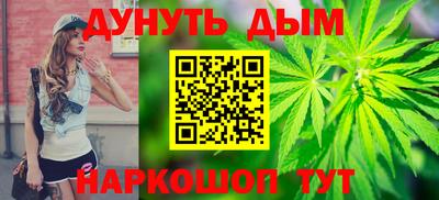сатива Славгород