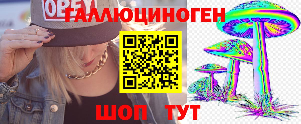 где купить наркоту  Псилоцибиновые грибы Psilocybine cubensis  Псилоцибиновые грибы Psilocybine cubensis  Вход с VPN  Рассказово 