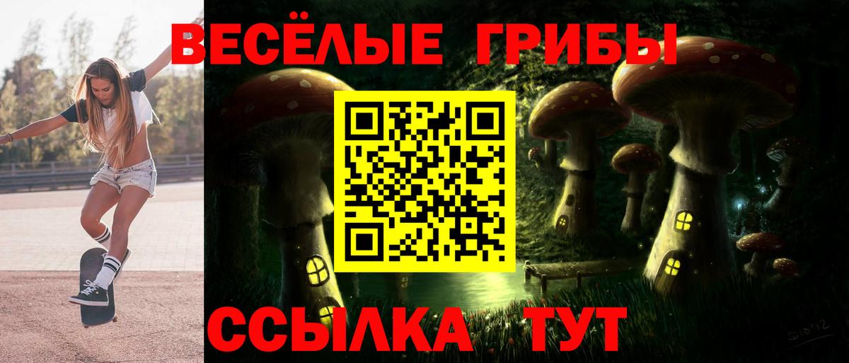 Галлюциногенные грибы Psilocybe Рассказово