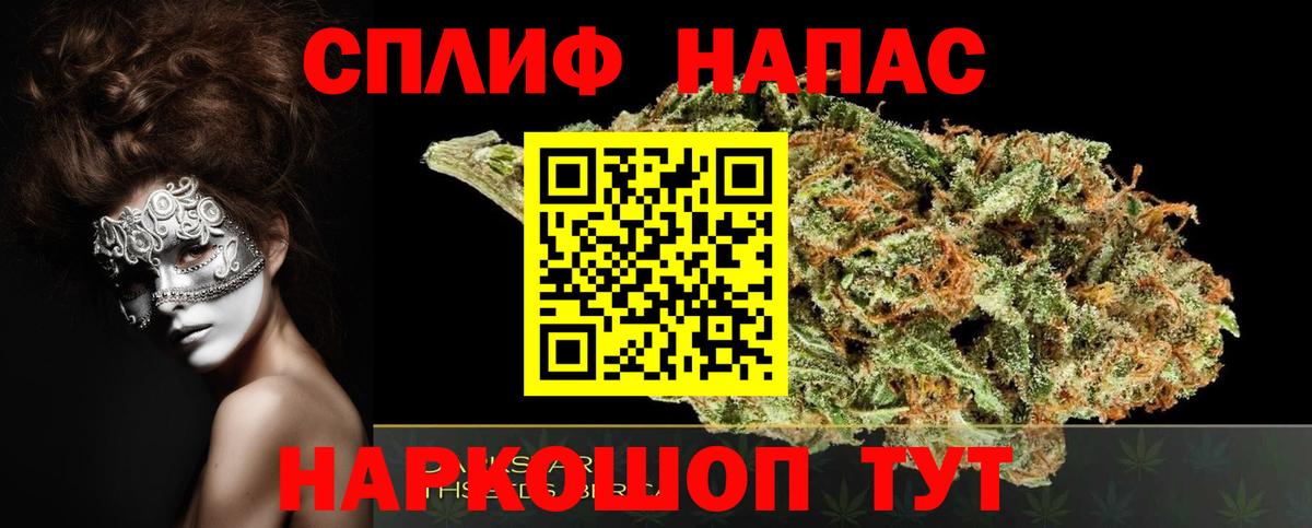 Конопля White Widow  Марихуана Ganja  Канабис план  Вход с VPN  Рассказово 